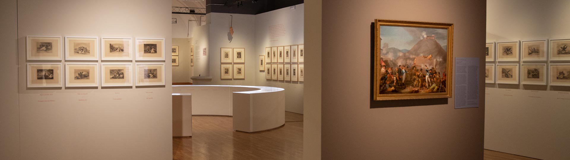 Volaverunt. Els gravats de Goya des de la contemporaneïtat
