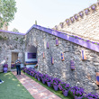 Capella de Sant Cristòfol (foto de Miquel Millàn)