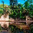 Jardins de la Devesa. Foto: Toni Vilches