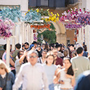 Pont de Sant Agustí. Foto: Toni Vilches